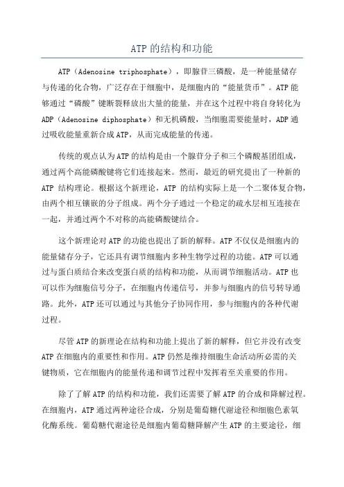 ATP的结构和功能