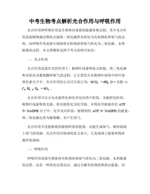 中考生物考点解析光合作用与呼吸作用