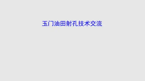射孔技术交流学习课件