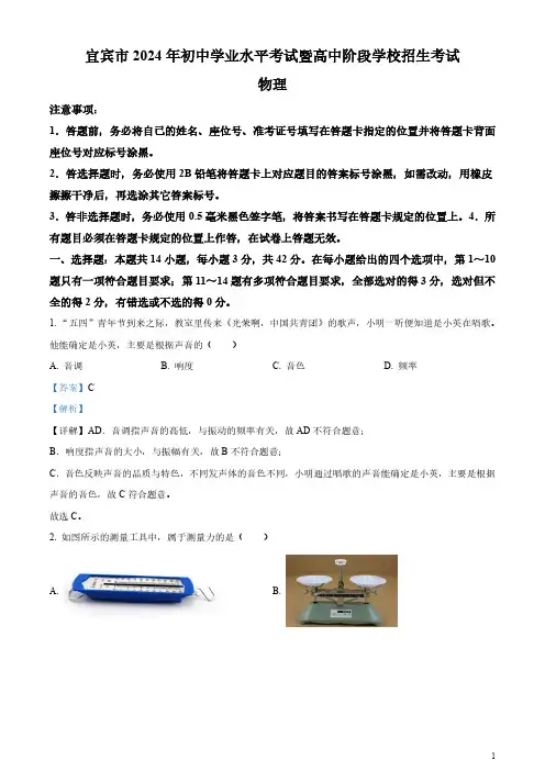 2024年四川省宜宾市中考物理试题(答案)