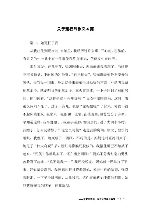 关于冤枉的作文4篇