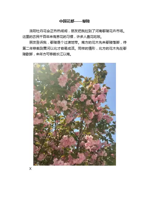中国花都——鄢陵