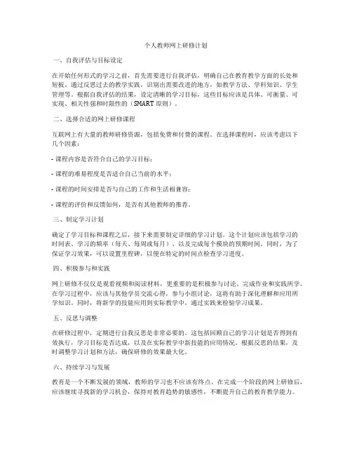 个人教师网上研修计划