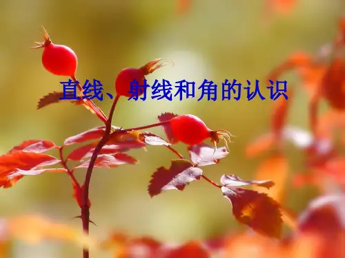最新苏教版数学四上《认识射线、直线和角》ppt精品课件