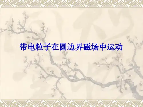 物理圆形有界磁场