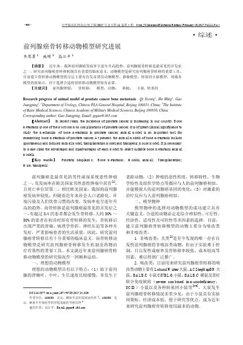 前列腺癌骨转移动物模型研究进展