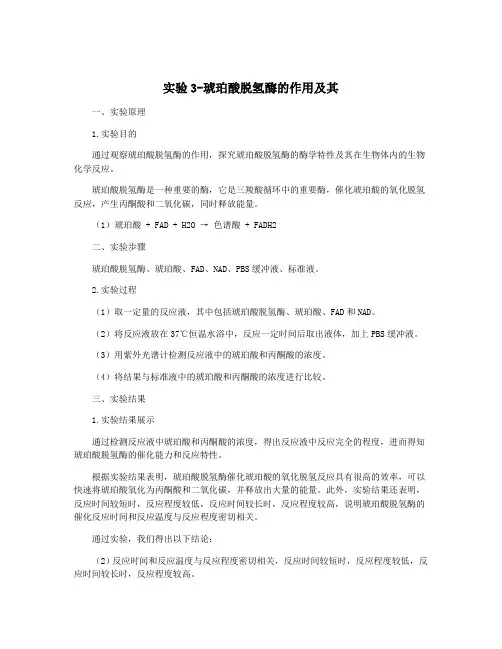 实验3-琥珀酸脱氢酶的作用及其
