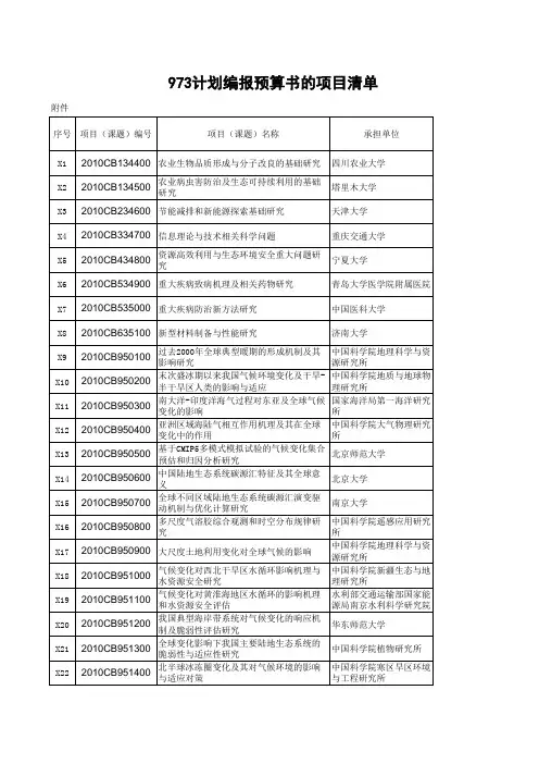 973立项清单
