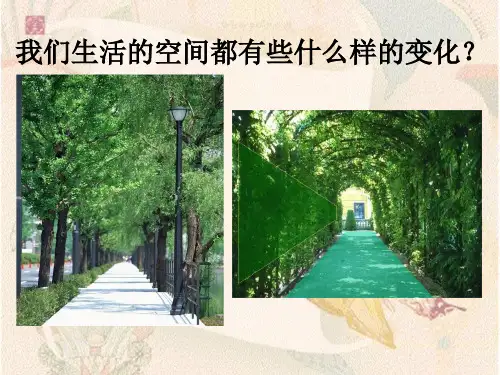 初中美术赣美版课件 《空间的魅力》