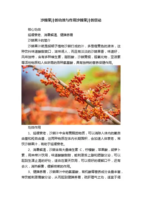沙棘果汁的功效与作用沙棘果汁的禁忌