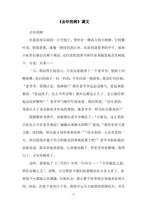 《去年的树》课文