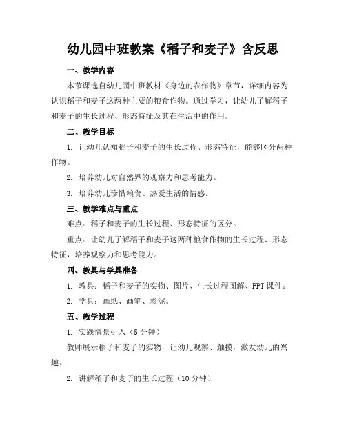 幼儿园中班教案《稻子和麦子》含反思