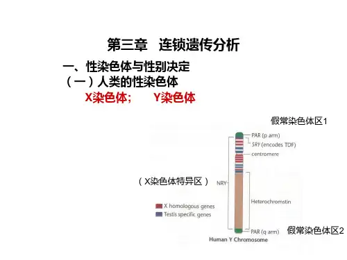 遗传学-第三章-连锁遗传分析ppt课件