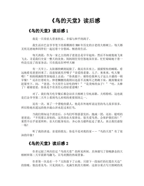 《鸟的天堂》读后感