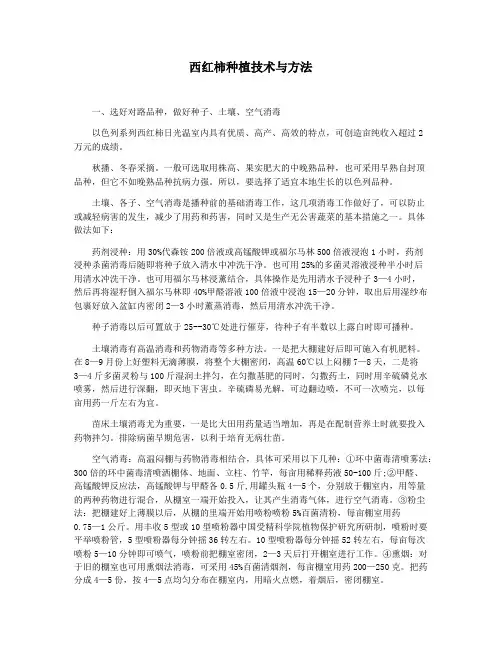 西红柿种植技术与方法