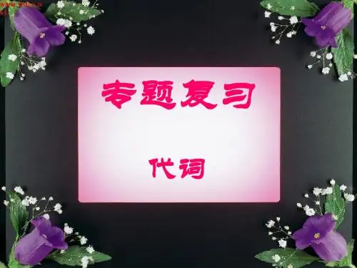 2012中考英语复习之代词_课件