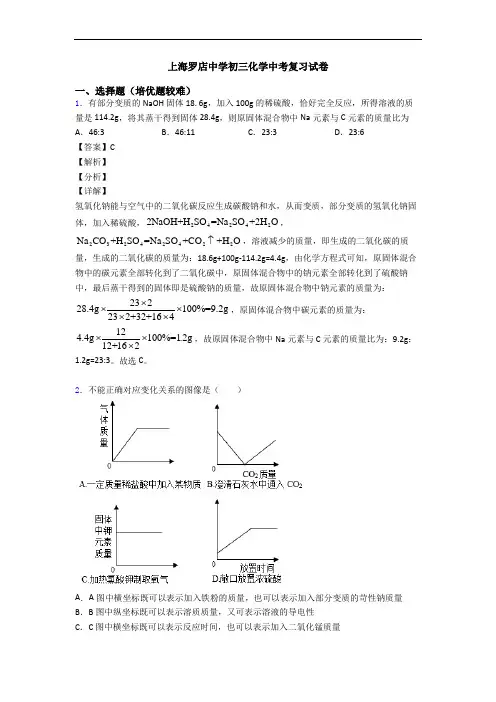 上海罗店中学初三化学中考复习试卷