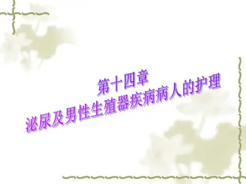 泌尿系结石病人的护理16 ppt课件