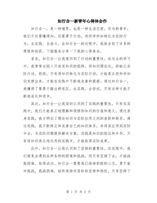 知行合一新青年心得体会作