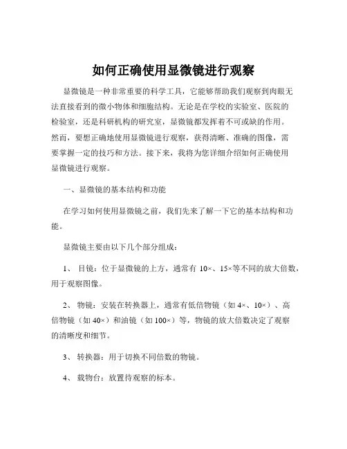如何正确使用显微镜进行观察