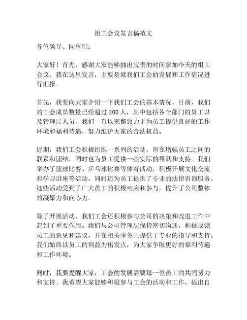 组工会议发言稿范文