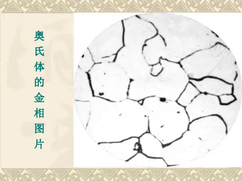 原创《金属材料各种组织金相图片》教学资料.pptx