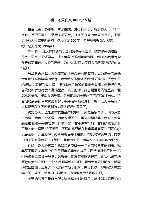 初一冬天作文800字5篇