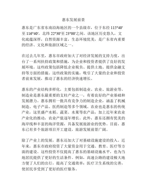 惠东发展前景