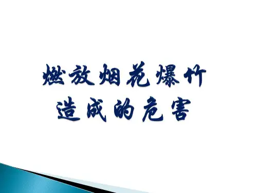 安全燃放烟花爆竹经验分享材料.ppt