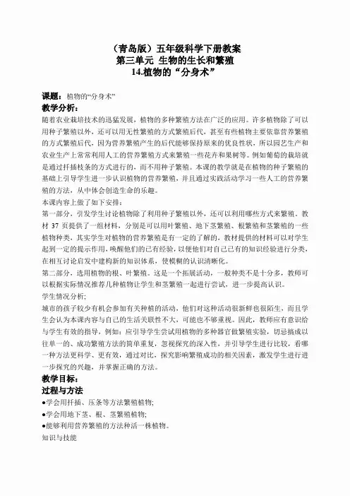 青岛小学科学五下《14.植物的“分身术”》word教案 (8)