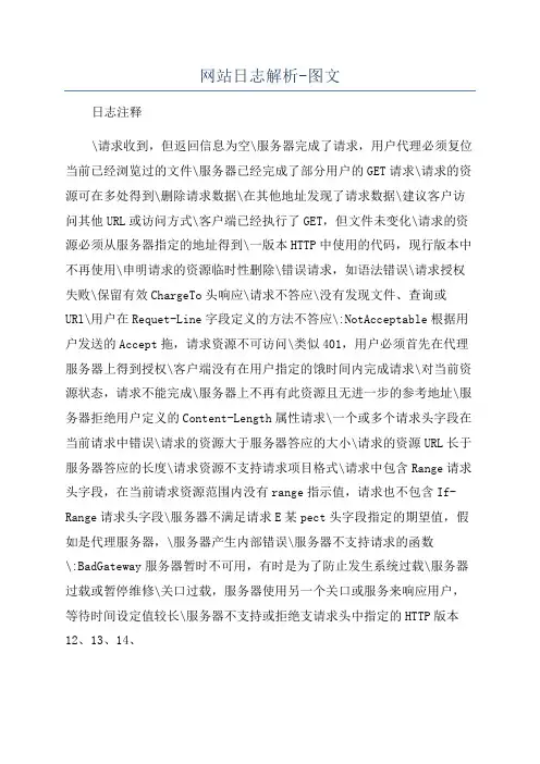 网站日志解析-图文