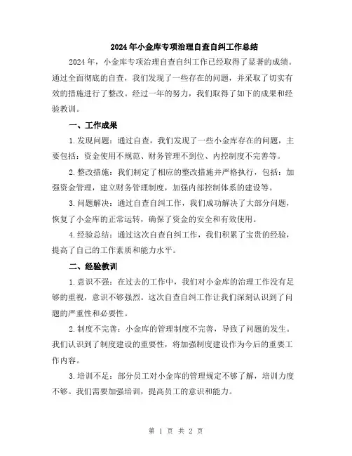 2024年小金库专项治理自查自纠工作总结