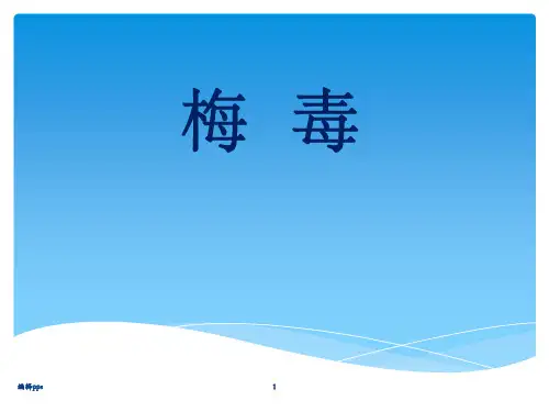梅毒完整版
