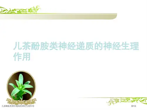 儿茶酚胺类神经递质的神经生理作用