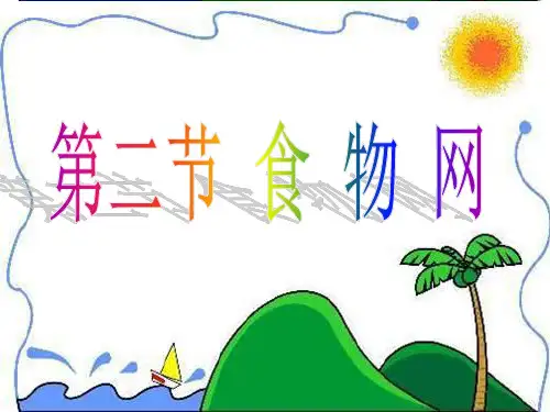 苏科版生物七上6.2《食物网》课件(共16张PPT)