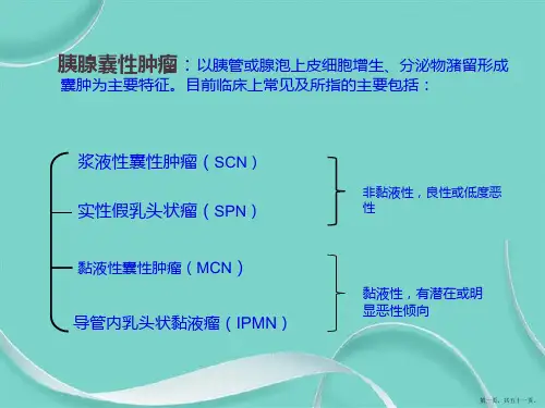 胰腺囊性肿瘤鉴别诊断韩宗文