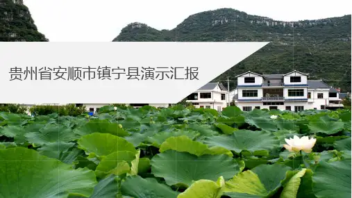 安顺市镇宁县演示汇报