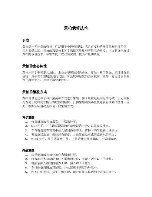 黄柏栽培技术
