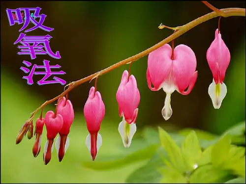 吸氧法