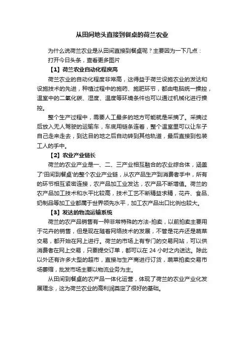 从田间地头直接到餐桌的荷兰农业