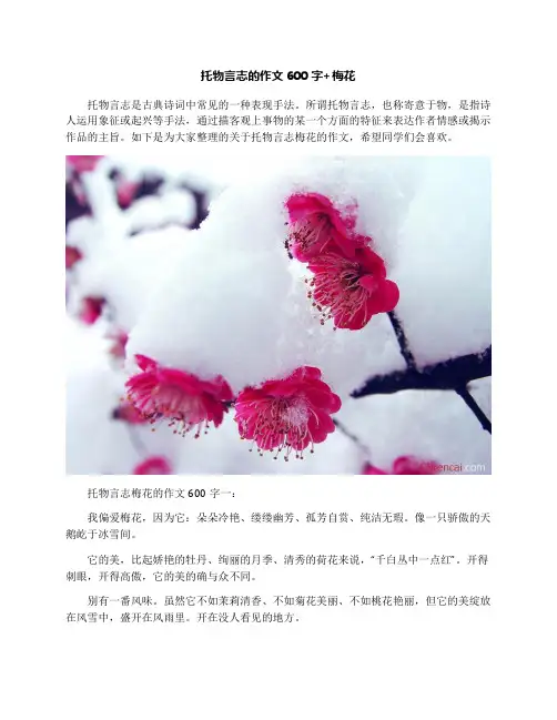 托物言志的作文600字+梅花