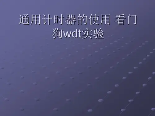通用计时器的使用 看门狗wdt实验