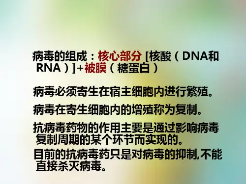 药物化学12抗病毒药和抗艾滋病药
