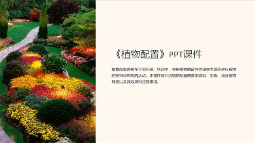 《植物配置》课件