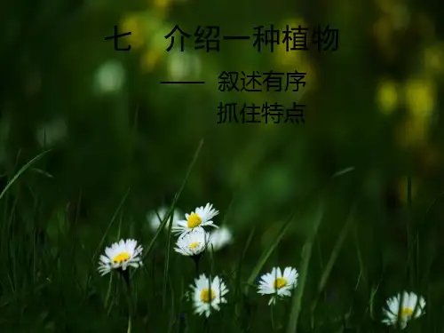 《介绍一种植物》PPT课件