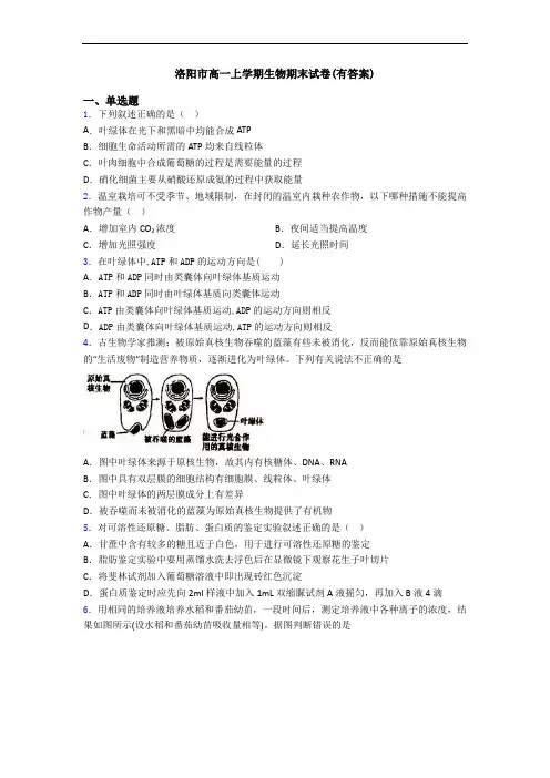 洛阳市高一上学期生物期末试卷(有答案)