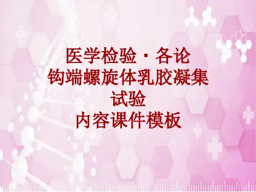 医学检验·检查项目：钩端螺旋体乳胶凝集试验_课件模板