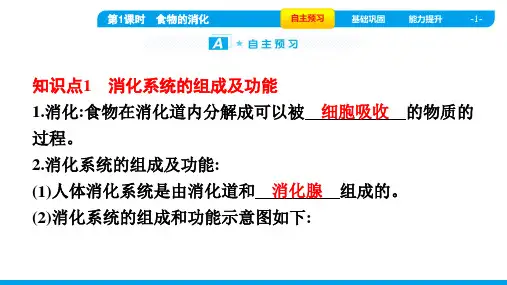 2022年人教版七年级下册生物第二章人体的营养 第二节消化和吸收 第1课时食物的消化