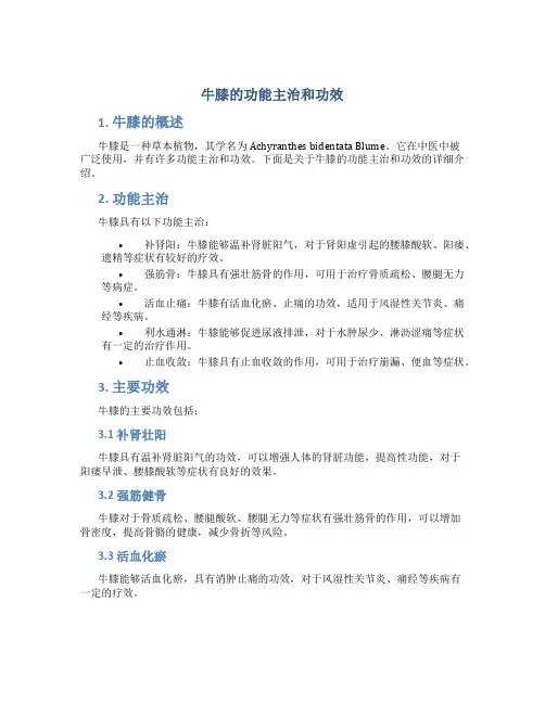 牛膝的功能主治和功效