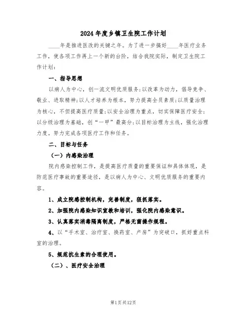 2024年度乡镇卫生院工作计划（三篇）
